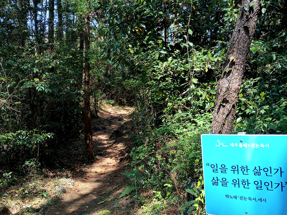 걷는 독서 박노해