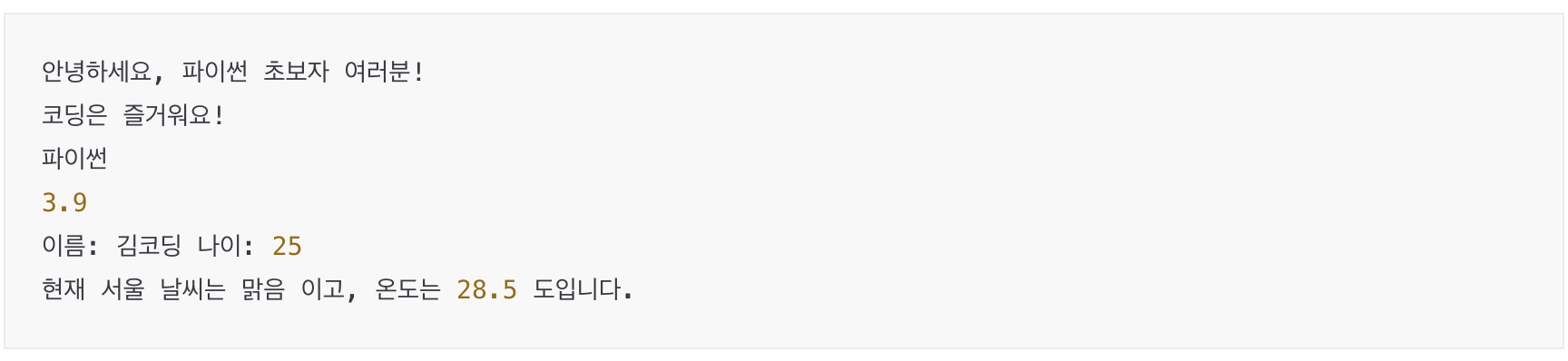 파이썬 print 결과 예시