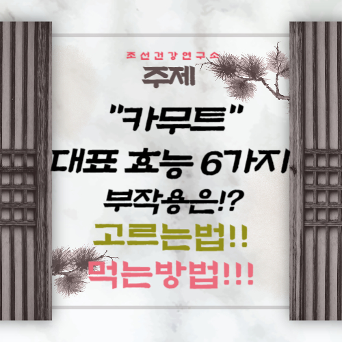 카무트 효소 효능 6가지 부작용 먹는법 호라산 밀