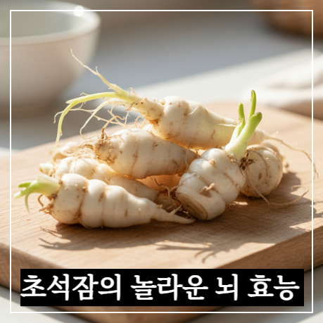 뇌 건강과 혈관 건강에 좋은 골뱅이 모양의 신선한 초석잠이 나무 도마 위에 놓여 있는 모습