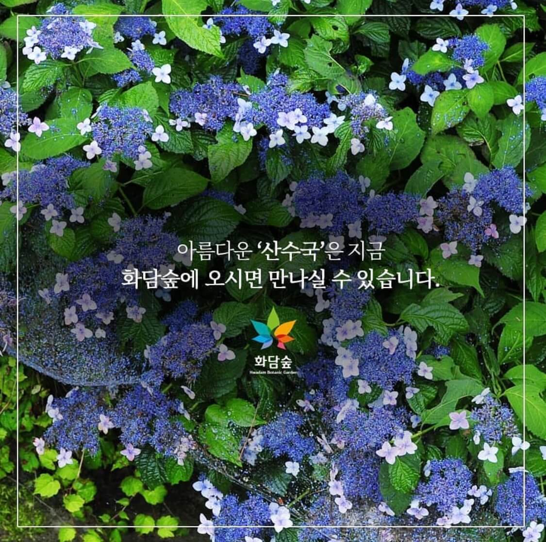 화담숲 모노레일