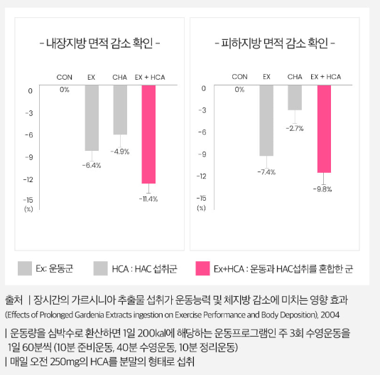 푸응 다이어트 후기 다이어트 성공!