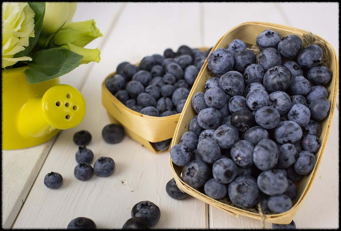 블루베리 효능 이미지_7