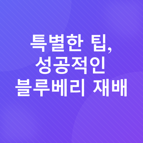 블루베리 묘목 재배_4
