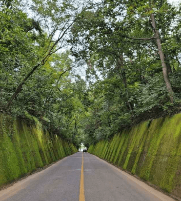 단양 가볼만한곳 베스트 10