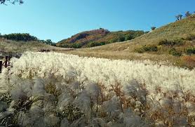 9월 산행지 추천 가을 등산 베스트5