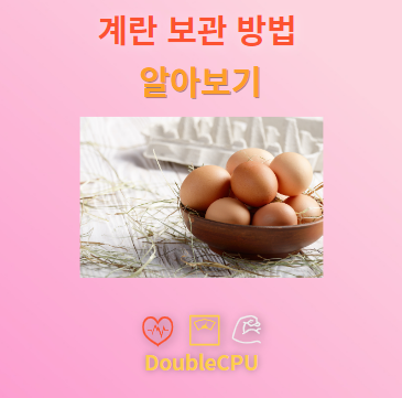 계란 보관 방법
