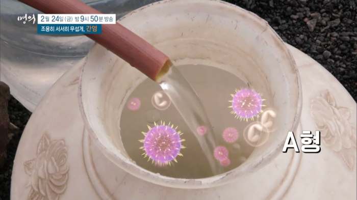 명의 A형 B형 C형 간염 증상 예방접종 원인 전염 항체 검사 비용 방법