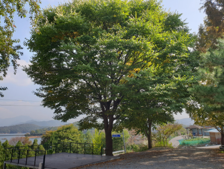 청풍호반 오토캠핑장