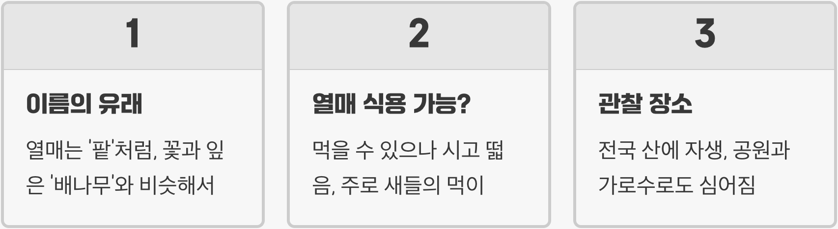 팥배나무의 사계절, 계절에 따라 변하는 아름다운 모습