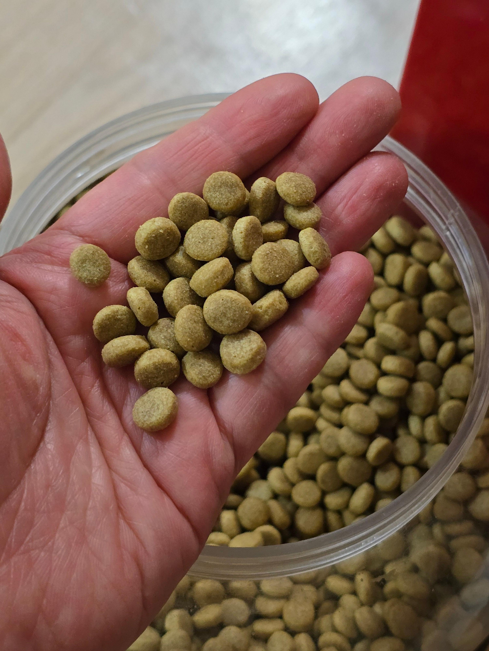 밥이보약 알맞은 체중8