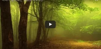 차 한잔하실래요 완벽 힐링 음악_16