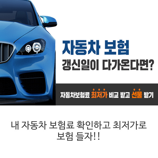 내-자동차-보험료-확인하고-최저가로-보험-들자!!