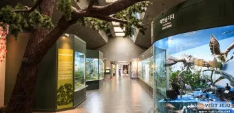 아이와 제주 여행 제주 민속 자연사박물관 예매 코스 가이드_2