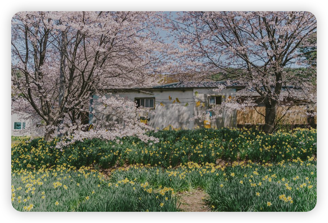 홍성-거북이-마을