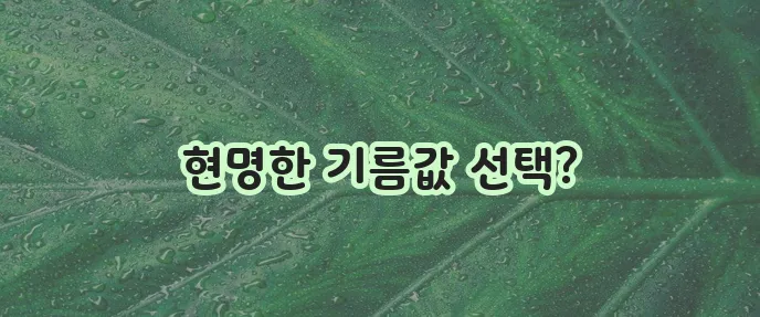 주유소 가격 비교 (근처 주유소, 알뜰)