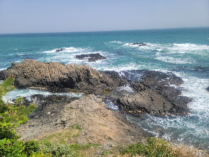 경주 가볼만한 곳 경주양남주상절리