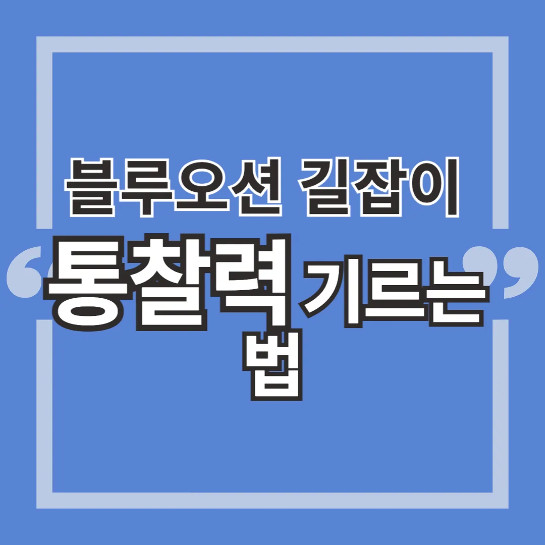 블루오션 길잡이 : 통찰력을 기르는 법