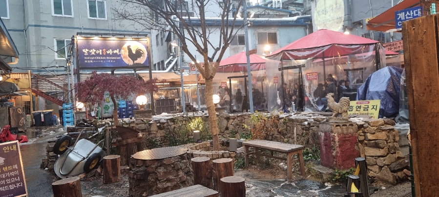 Dalmaji Square BBQ Outdoor Square