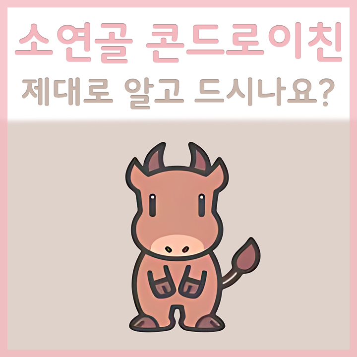 소연골-콘드로이친