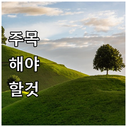 궁금증 해결! 상생페이백 온라인 사용..