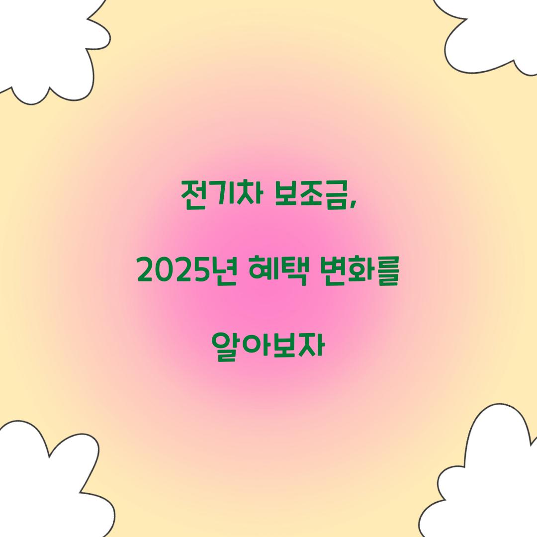 전기차 보조금