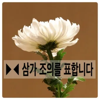삼가 조의를 표합니다 삼가 고인의 명복을 빕니다 뜻 자료집_16
