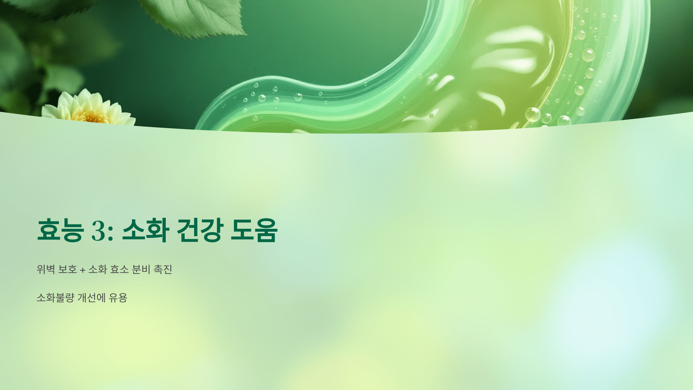 아카시아꿀 사진입니다.