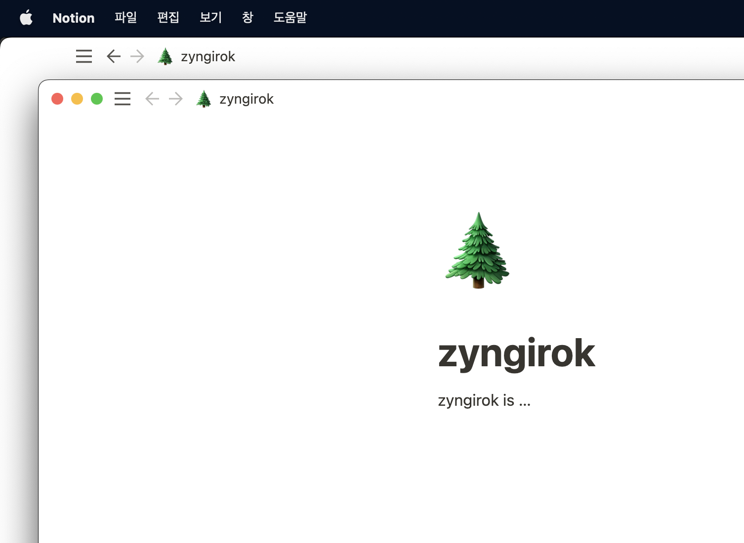 노션-새창이-열려-두개의-창이-띄워져-있다.