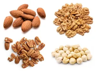 견과류 효능 섭취량 칼로리_7