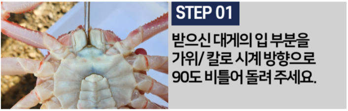 영덕대게