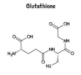 글루타치온 효능, 부작용, 많이든 음식 총정리 (2025ver)