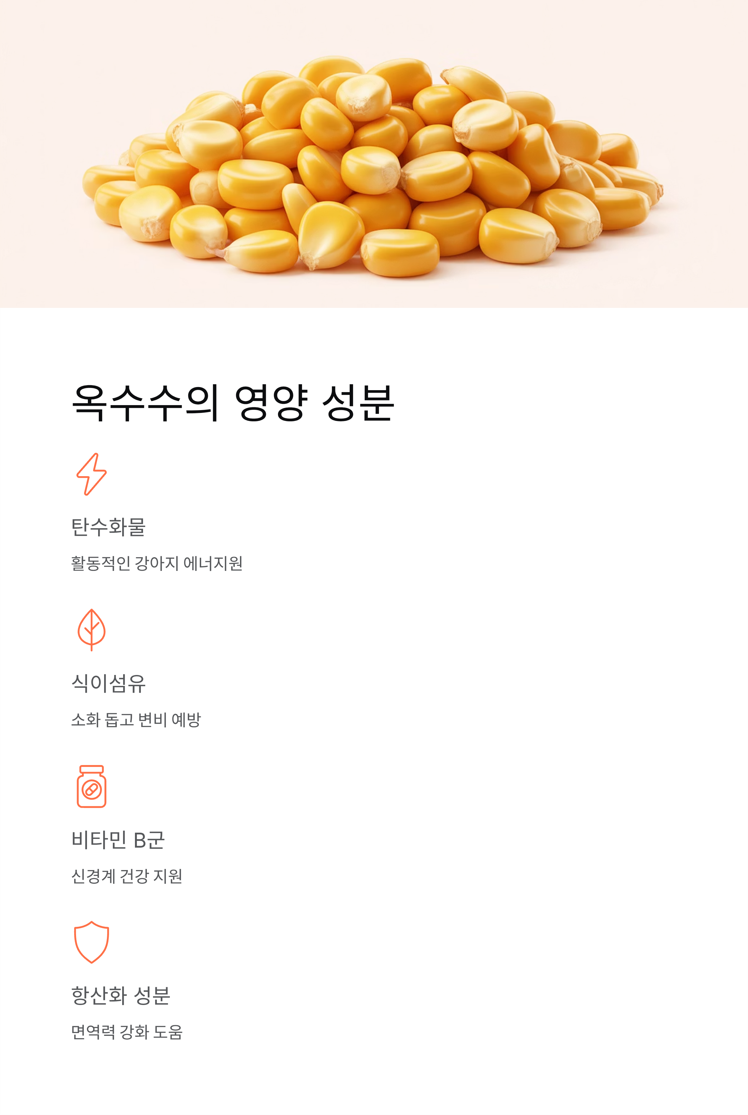 강아지 옥수수 급여해도 될까? 심지는 절대 안 되는 이유