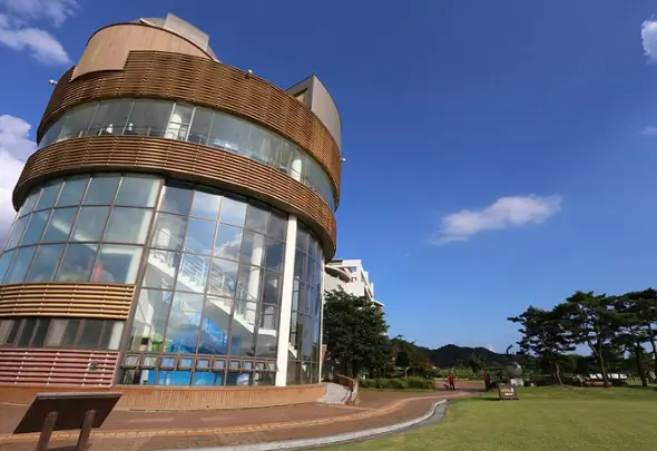 겨울 여행지 추천 순천만습지