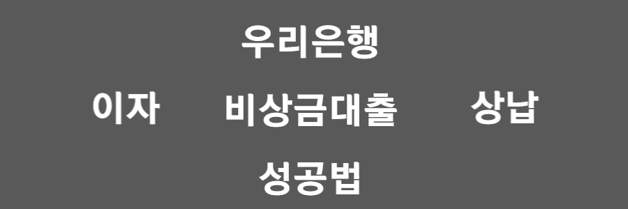우리은행 비상금대출