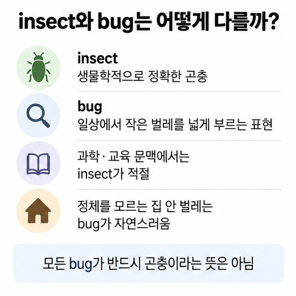 insect는 정확한 곤충 표현이고 bug는 일상에서 작은 벌레를 넓게 부르는 표현이라는 차이를 설명한 인포그래픽