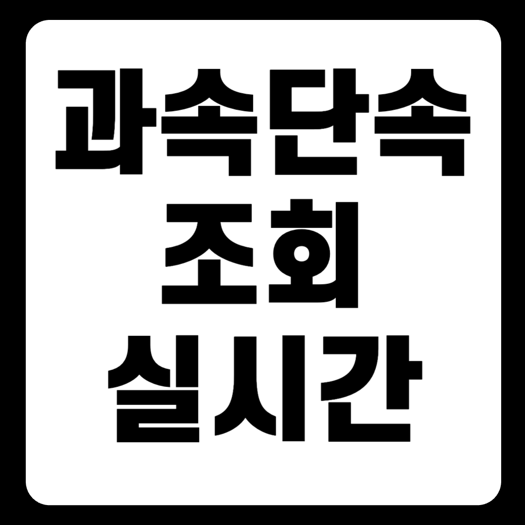 과속단속조회 실시간 차량번호 시간 조회 바로 확인하기
