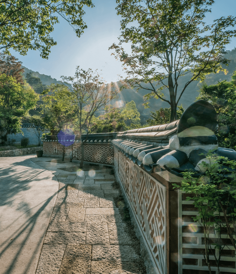 화담숲 벚꽃 개화