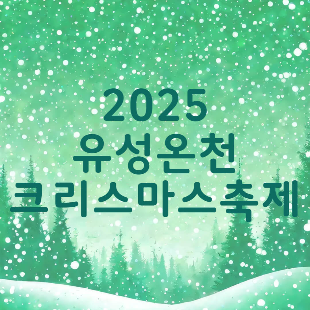 2025 대전 유성온천 크리스마스축제