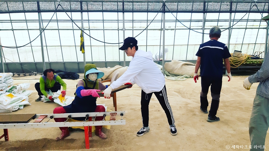 농촌일손돕기