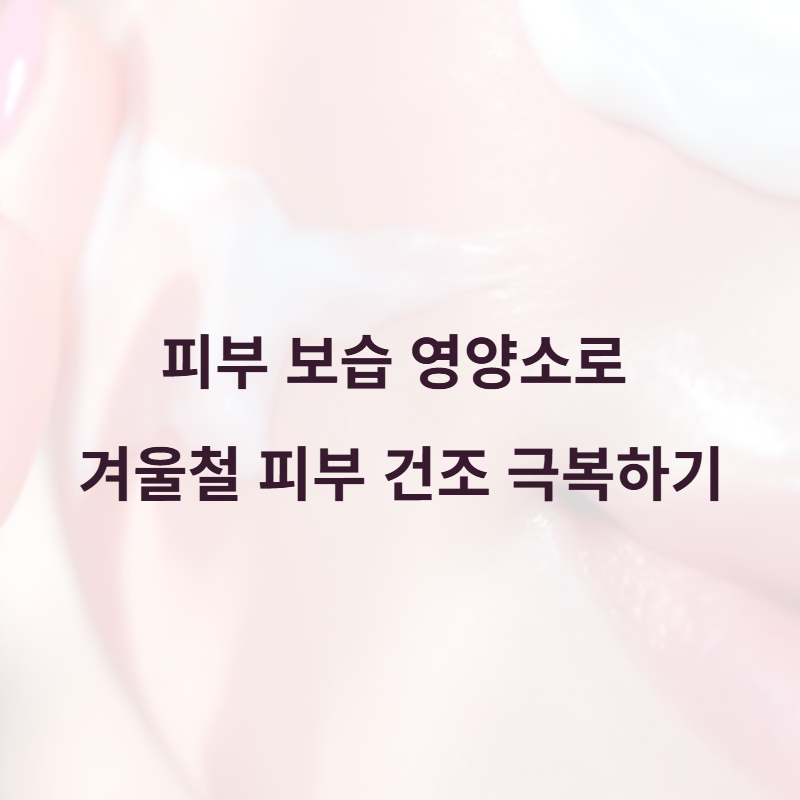 피부 보습 영양소로 겨울철 피부 건조 극복하기