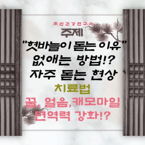 혓바늘이 돋는 이유 원인과 혓바늘 없애는 방법 꿀 치료법 자주돋는 현상