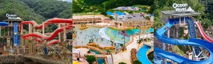 오션월드할인예약