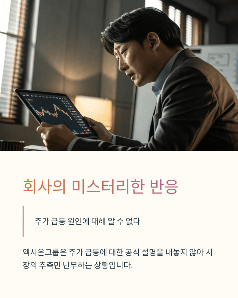엑시온그룹 상한가, 주가 변동성 분석
