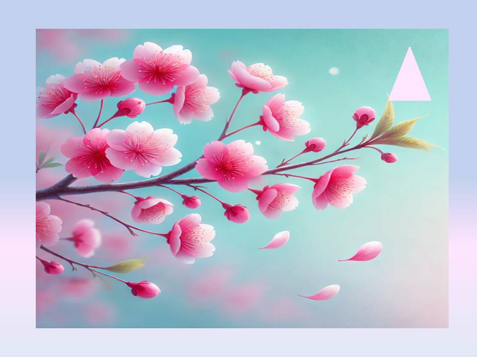 목포 벚꽃 축제 일정