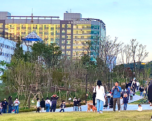 고양국제꽃박람회