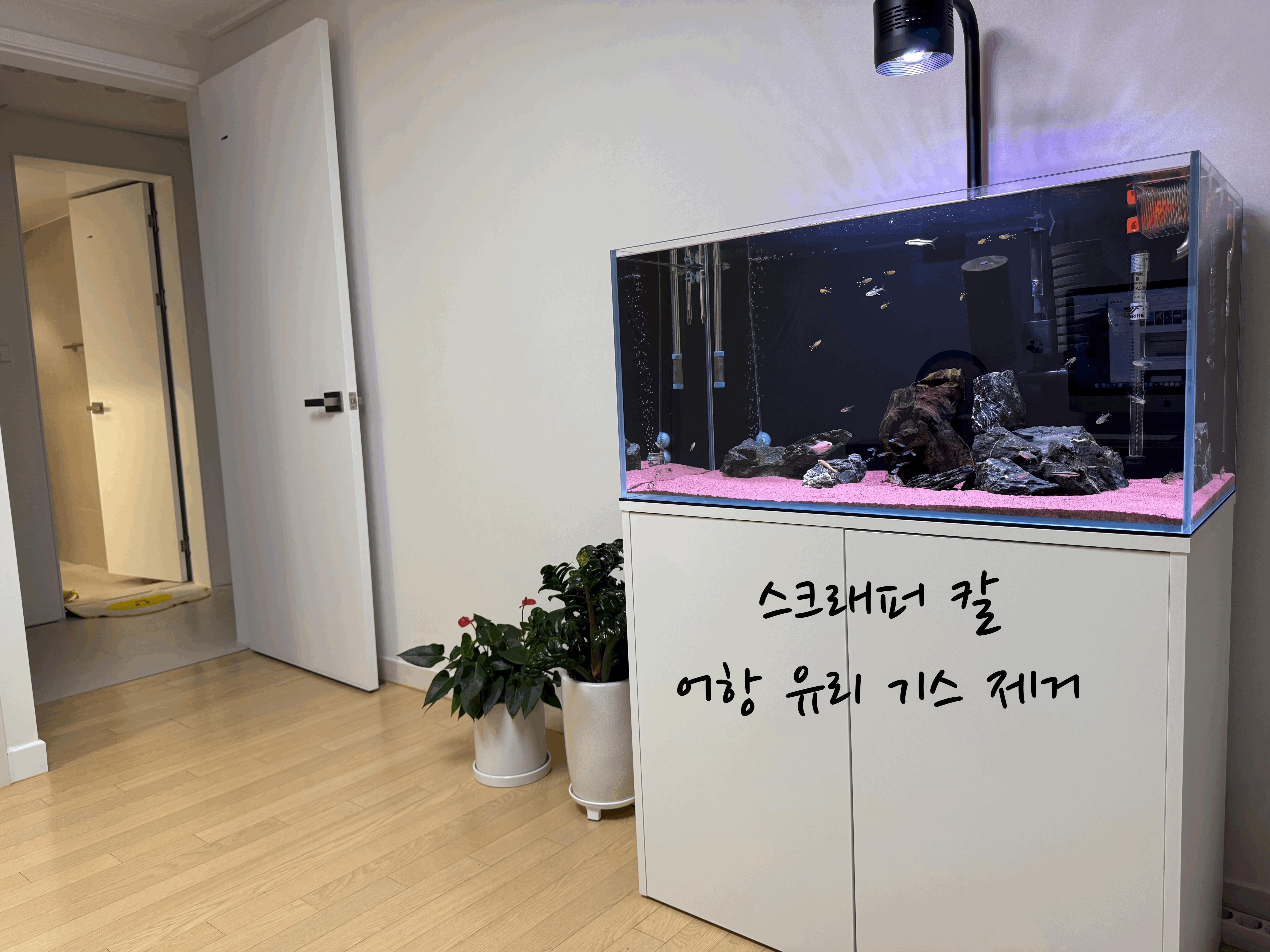 어항 유리 기스