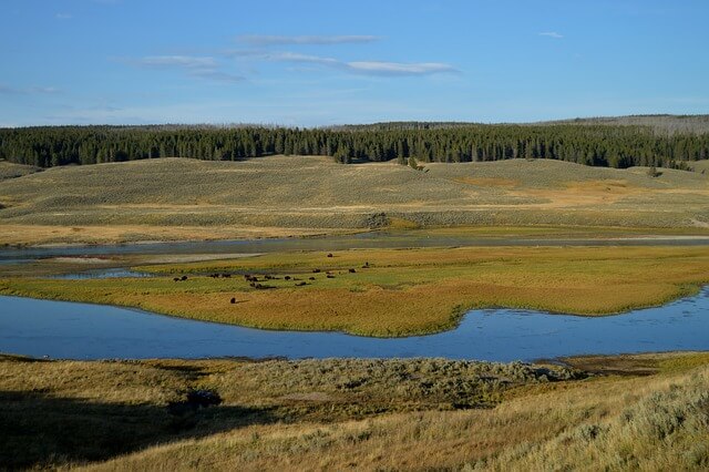 하와이 ESTA 신청방법 및 유효기간 확인방법