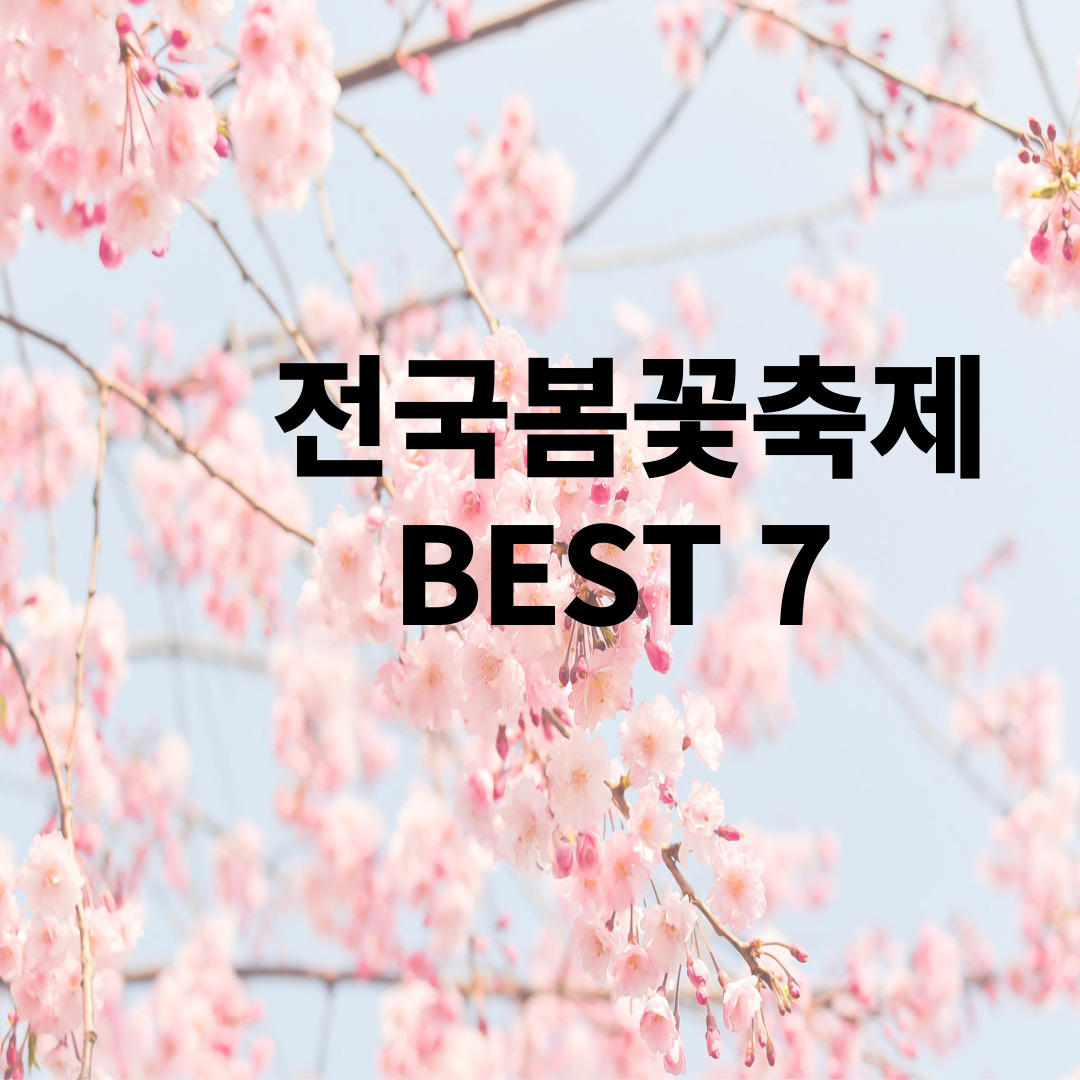 2024년 전국봄꽃축제