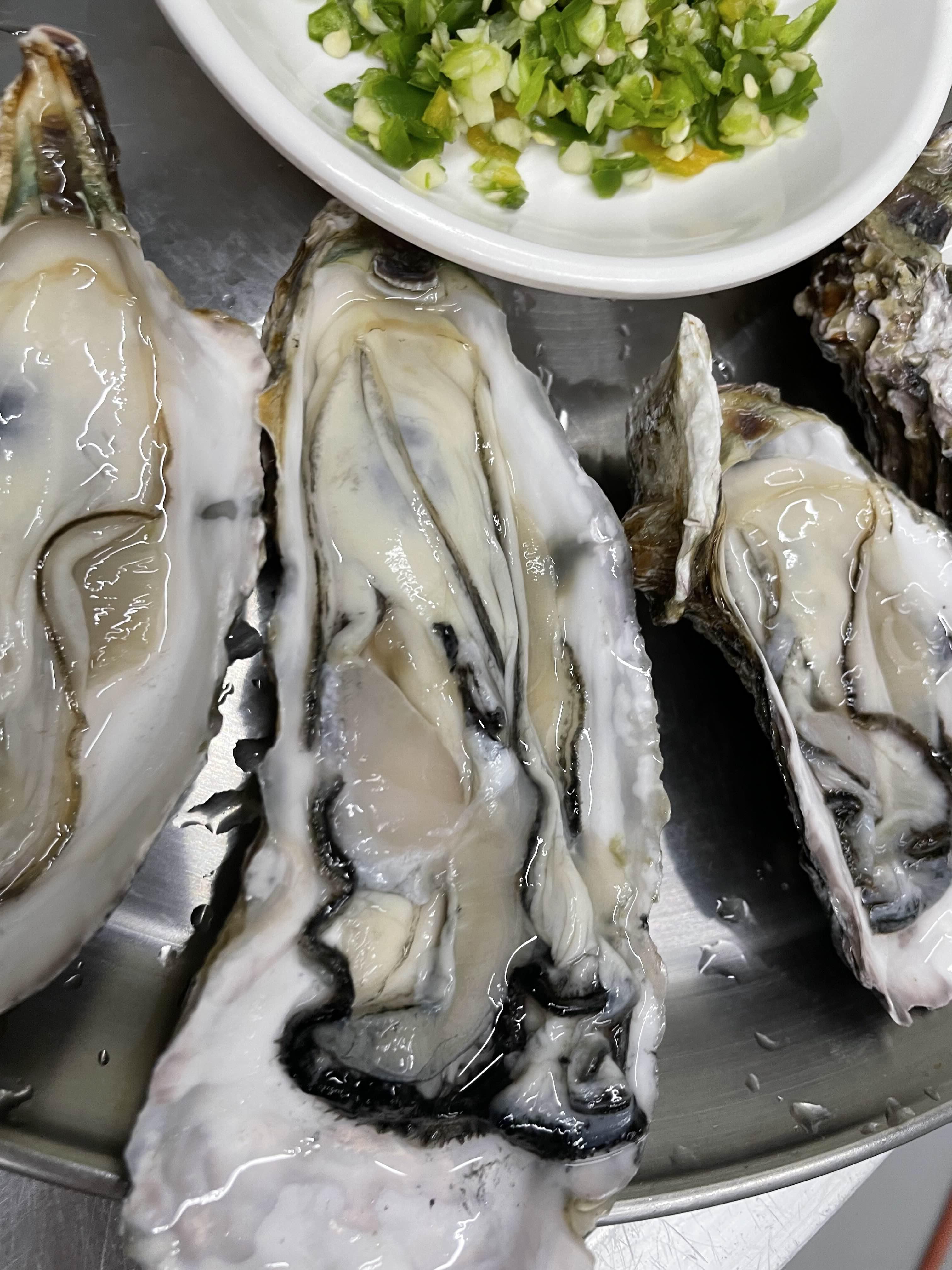 싱싱한 굴회